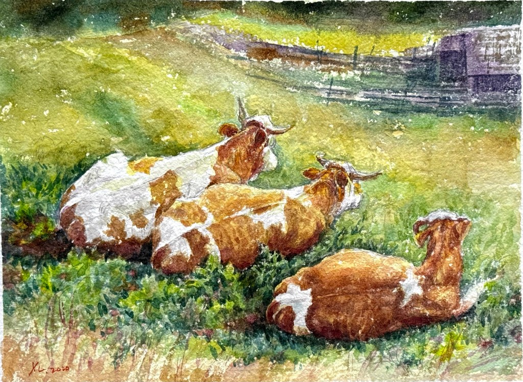 Watercolor painting of three brown and white cows resting in a grassy field.